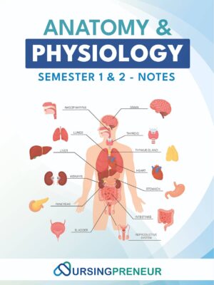 Anatomy and Physiology Study Notes