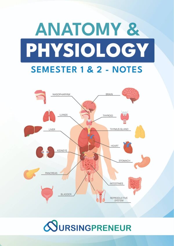 Anatomy and Physiology Study Notes